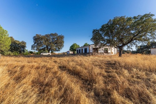 imagen 10 de Finca Rústica de 80 hectáreas en el Andévalo de Huelva