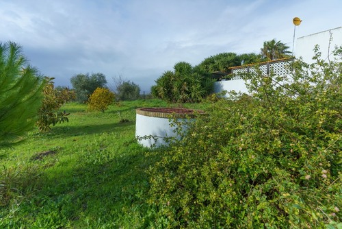 imagen 6 de Finca rústica con chalet independiente y piscina en Manzanilla