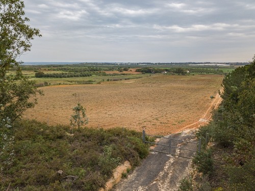 imagen 1 de Finca rústica 5,5 ha en Niebla, Huelva