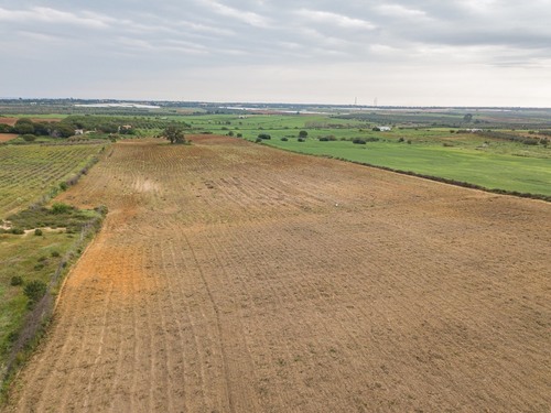 imagen 2 de Finca rústica 5,5 ha en Niebla, Huelva
