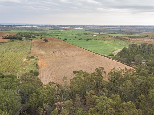 imagen 3 de Finca rústica 5,5 ha en Niebla, Huelva