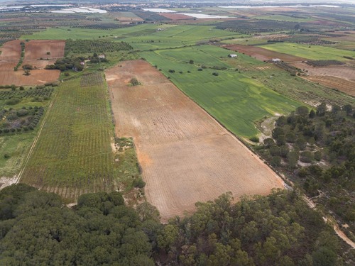 imagen 4 de Finca rústica 5,5 ha en Niebla, Huelva