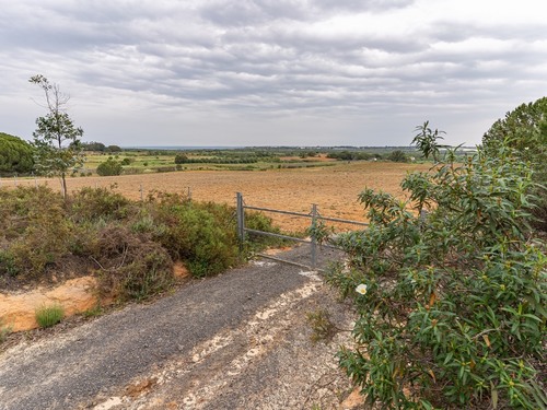 imagen 1 de Finca rústica 5,5 ha en Niebla, Huelva