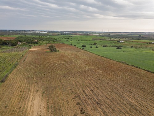 imagen 5 de Finca rústica 5,5 ha en Niebla, Huelva