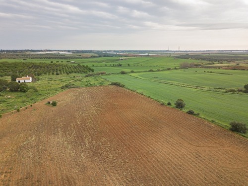imagen 7 de Finca rústica 5,5 ha en Niebla, Huelva