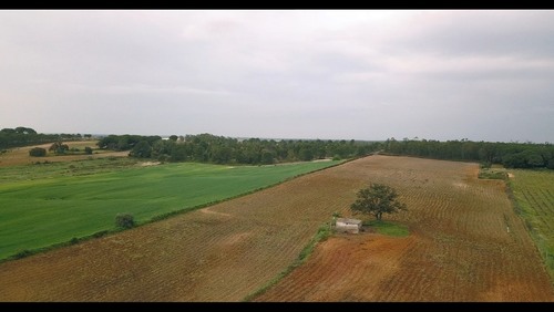 imagen 10 de Finca rústica 5,5 ha en Niebla, Huelva