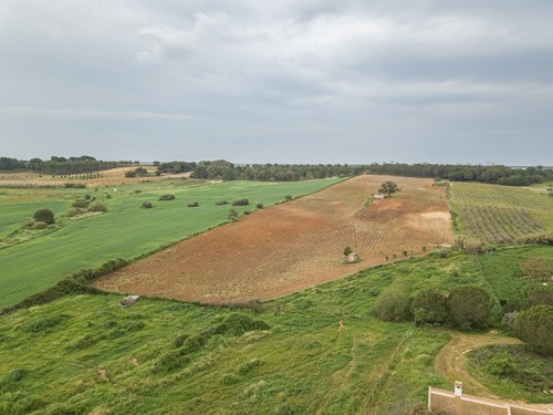 imagen 9 de Finca rústica 5,5 ha en Niebla, Huelva