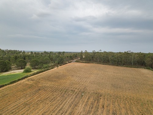 imagen 12 de Finca rústica 5,5 ha en Niebla, Huelva