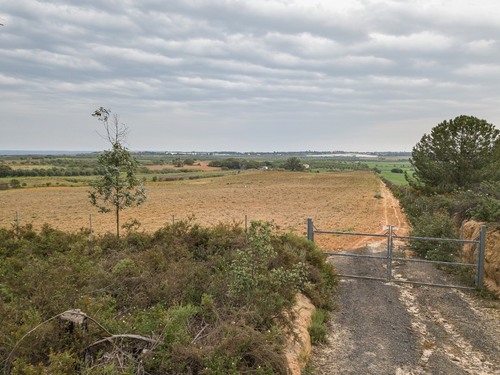 imagen 13 de Finca rústica 5,5 ha en Niebla, Huelva