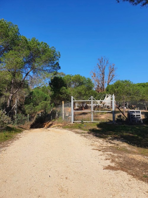 imagen 1 de Finca en Moguer