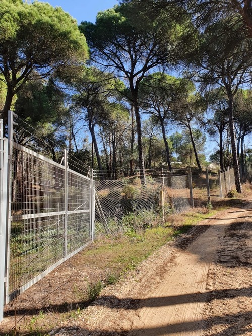 imagen 3 de Finca en Moguer