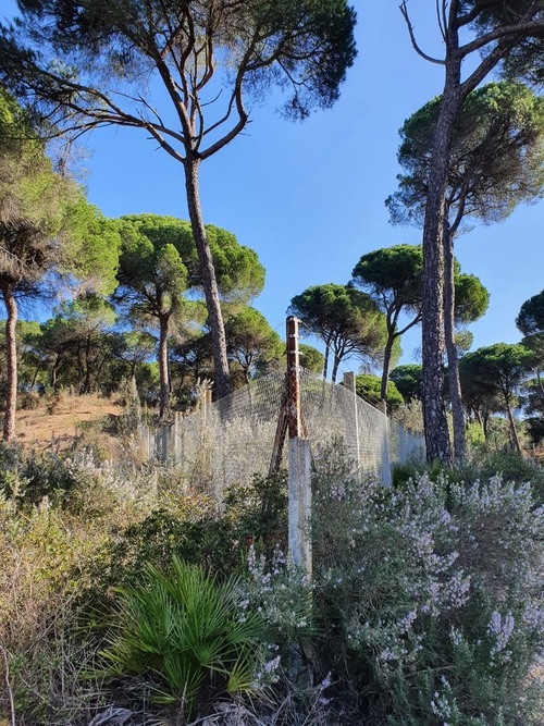 imagen 4 de Finca en Moguer