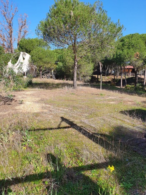 imagen 2 de Finca en Moguer