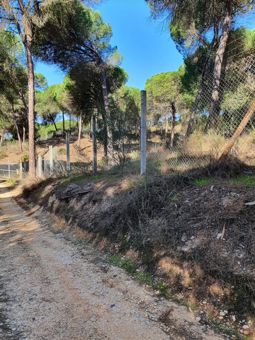 imagen 6 de Finca en Moguer