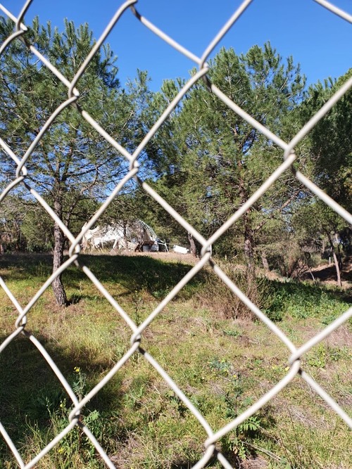 imagen 8 de Finca en Moguer
