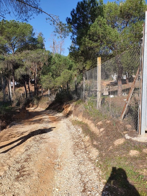imagen 7 de Finca en Moguer