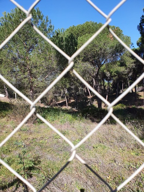 imagen 9 de Finca en Moguer