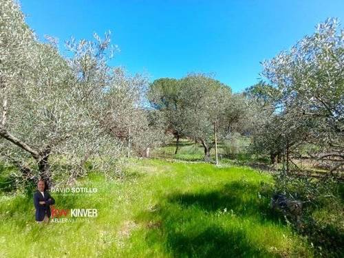 imagen 1 de Finca rústica con vivienda, olivar, frutales y autonomía energética en Andújar