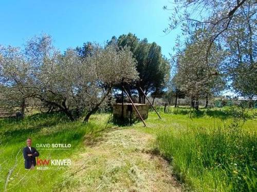 imagen 2 de Finca rústica con vivienda, olivar, frutales y autonomía energética en Andújar