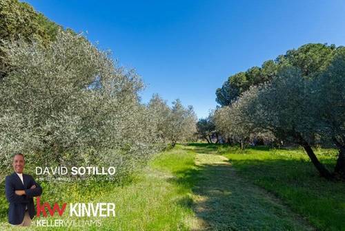 imagen 4 de Finca rústica con vivienda, olivar, frutales y autonomía energética en Andújar