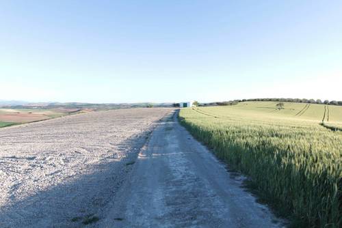 imagen 8 de TERRENO AGRÍCOLA EN VENTA
