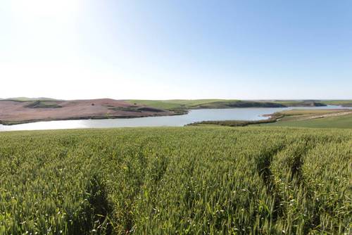 imagen 6 de TERRENO AGRÍCOLA EN VENTA