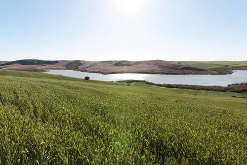 imagen 3 de TERRENO AGRÍCOLA EN VENTA