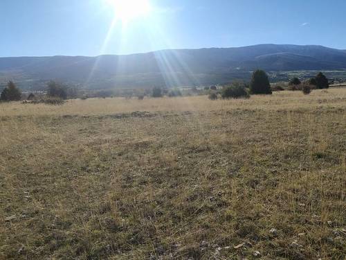 imagen 1 de Finca de 3,37 has. apta para el cultivo de trufa negra