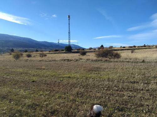 imagen 5 de Finca de 3,37 has. apta para el cultivo de trufa negra