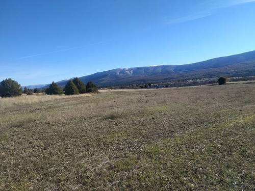 imagen 7 de Finca de 3,37 has. apta para el cultivo de trufa negra