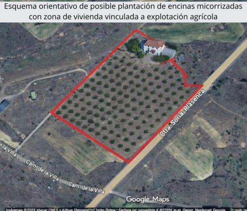 imagen 2 de Finca de 3,37 has. apta para el cultivo de trufa negra