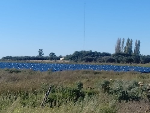 imagen 1 de Finca Agricola y Ganadera con Riego en Argentina
