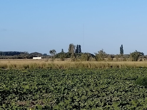 imagen 2 de Finca Agricola y Ganadera con Riego en Argentina