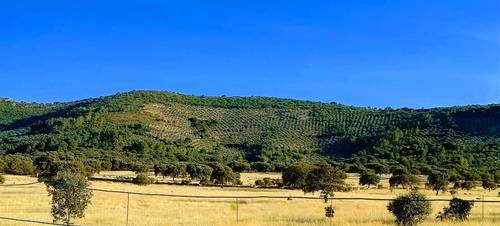imagen 1 de Terreno de sierra en la Reserva de la Biosfera de La Siberia extremeña.