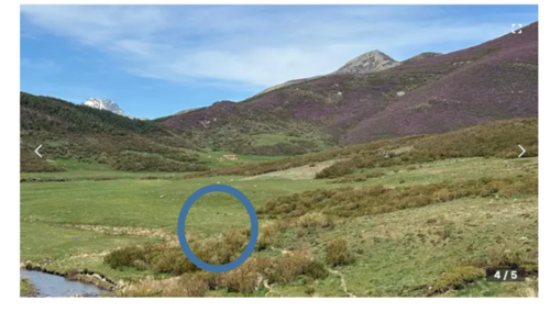imagen 1 de Se vende finca ganadera de 636 ha en el Parque Natural de la Montaña Palentina