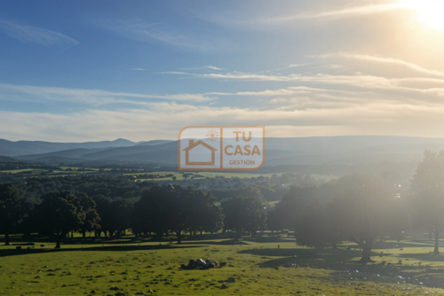 imagen 3 de Venta de magnífica finca rústica de 180 hectáreas en Deleitosa, (Cáceres).