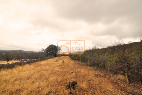 imagen 13 de Venta de magnífica finca rústica de 180 hectáreas en Deleitosa, (Cáceres).
