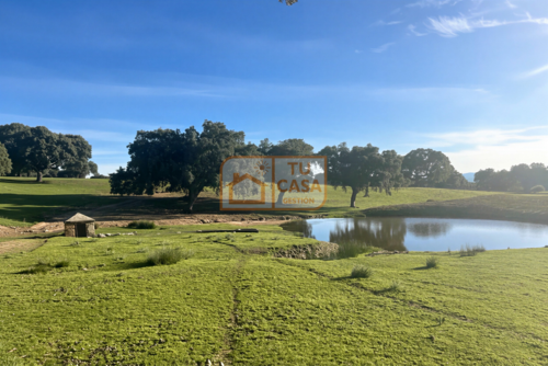 imagen 1 de Venta de magnífica finca rústica de 180 hectáreas en Deleitosa, (Cáceres).