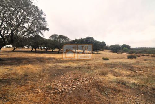 imagen 4 de Venta de magnífica finca rústica de 180 hectáreas en Deleitosa, (Cáceres).