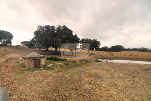 imagen 11 de Venta de magnífica finca rústica de 180 hectáreas en Deleitosa, (Cáceres).