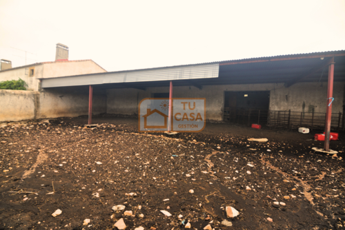 imagen 9 de Venta de magnífica finca rústica de 180 hectáreas en Deleitosa, (Cáceres).