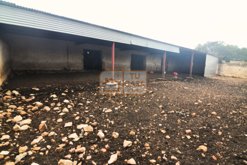 imagen 10 de Venta de magnífica finca rústica de 180 hectáreas en Deleitosa, (Cáceres).