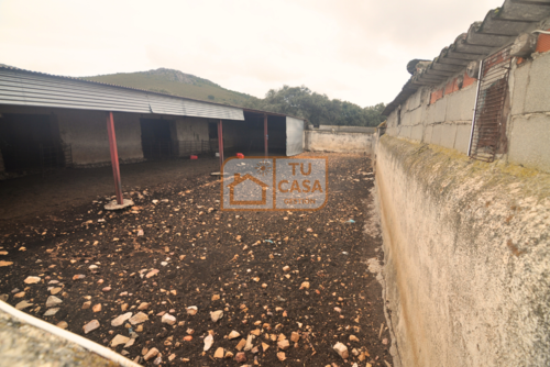 imagen 7 de Venta de magnífica finca rústica de 180 hectáreas en Deleitosa, (Cáceres).