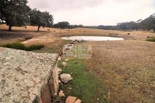 imagen 1 de Venta de magnífica finca rústica de 180 hectáreas en Deleitosa, (Cáceres).