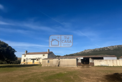 imagen 18 de Venta de magnífica finca rústica de 180 hectáreas en Deleitosa, (Cáceres).