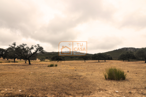 imagen 17 de Venta de magnífica finca rústica de 180 hectáreas en Deleitosa, (Cáceres).