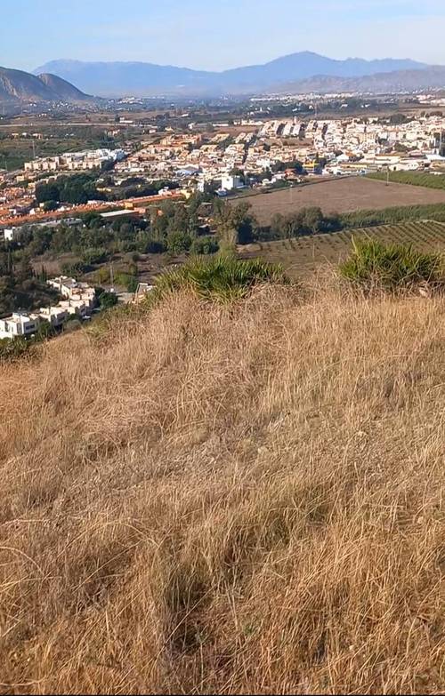 imagen 4 de CERRO VALLEJO