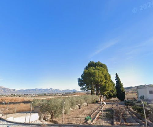 imagen 2 de Finca idela para explotacion agricola,pero tambien para otras actividades,Area autocaravanas ,parking a dos minutos de campo de golf,y a 20 del aeropuerto