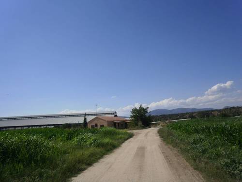 imagen 3 de Regadío y vacuno de leche