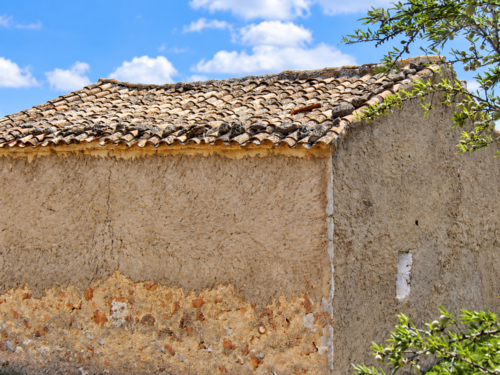 imagen 6 de Finca de 5,5 hectáreas con almendros, olivos y posibilidad de construir vivienda – 30.000 €